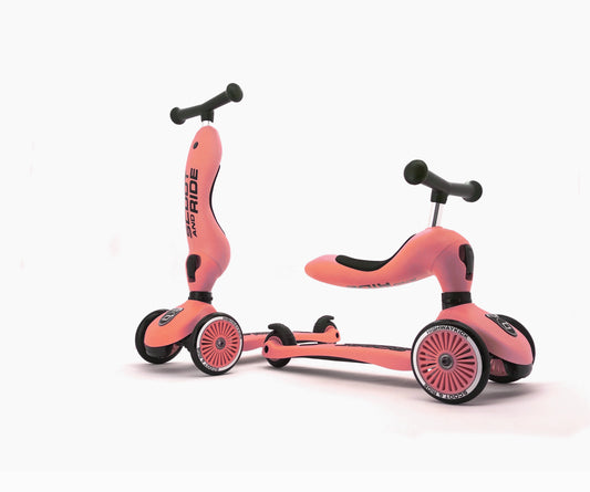 Scoot & Ride 2 Form Kids Scooter