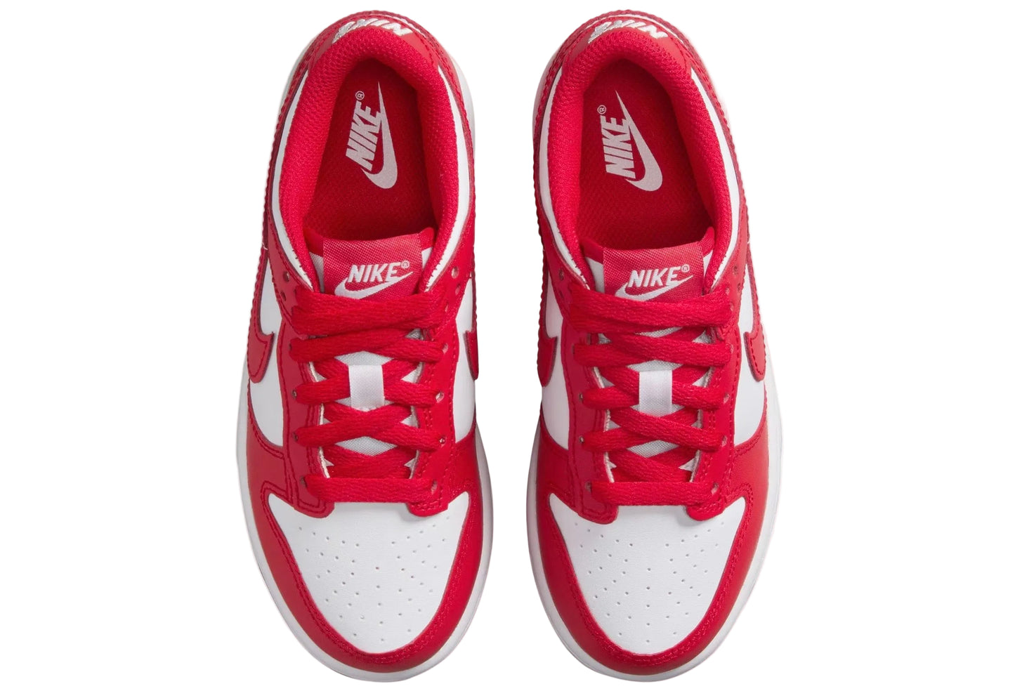 Nike Dunk Low (PSE) Kids